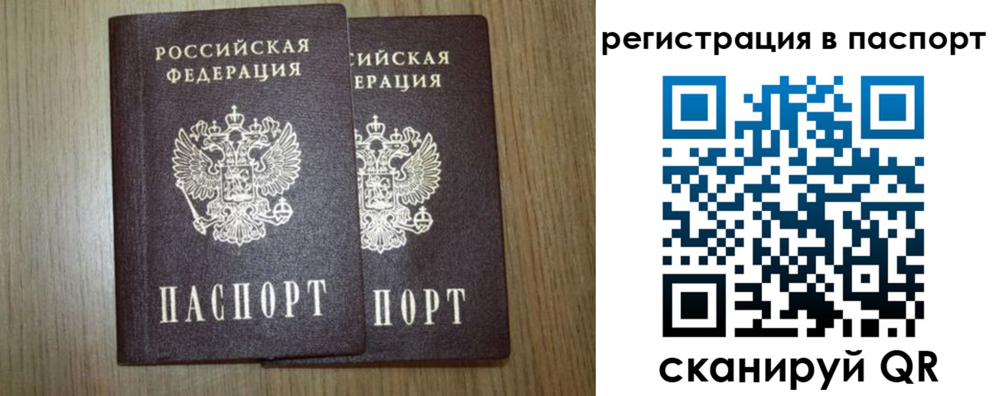 прописка регистрация в Камышине